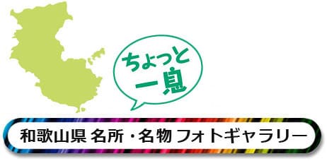 和歌山 フォトギャラリー
